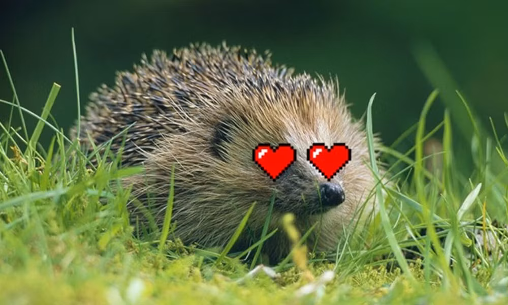 Dan Duc mat ngu vi cu den dem lu nhim lai 