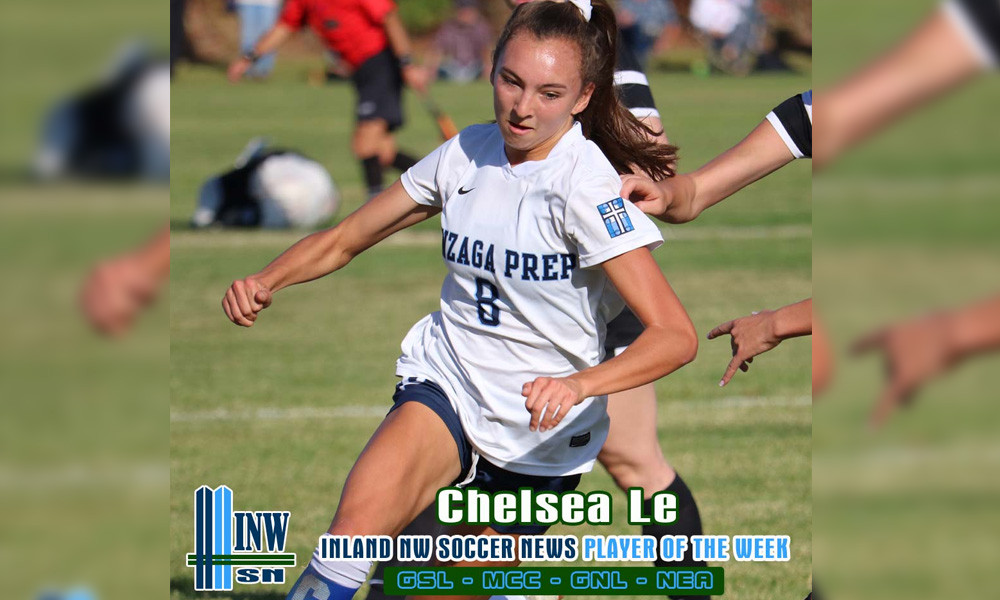 Với chiều cao 1m69, Chelsea Lê sở hữu những bước chạy dũng mãnh với tốc độ cao và khả năng dắt bóng lắt léo. Là một tiền đạo, Chelsea Lê ngoài sở trường tấn công ghi bàn, còn có khả năng trợ công kiến tạo cho đồng đội ghi bàn.