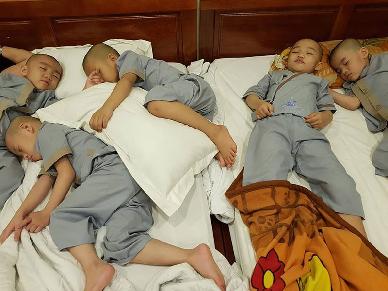 Hình ảnh nhóm Bồng Lai say sưa ngủ.