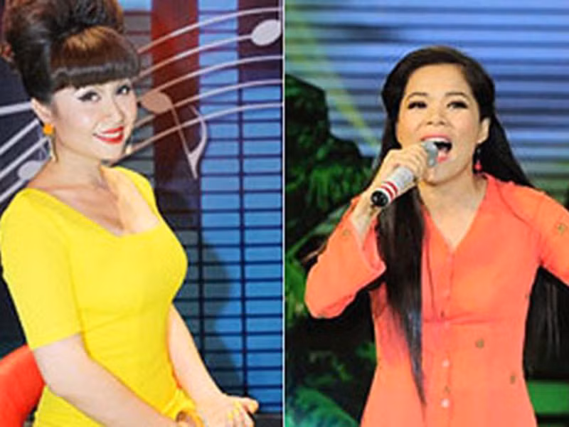 Lưu Thiên Hương từng vướng lùm xùm với Mỹ Lệ. Được biết, khi làm giám khảo Cặp đôi hoàn hảo, Lưu Thiên Hương cho rằng màn trình diễn Jazz của Mỹ Lệ và Khương Ngọc có dính chút nhạc Dance. Ảnh: Tiền Phong