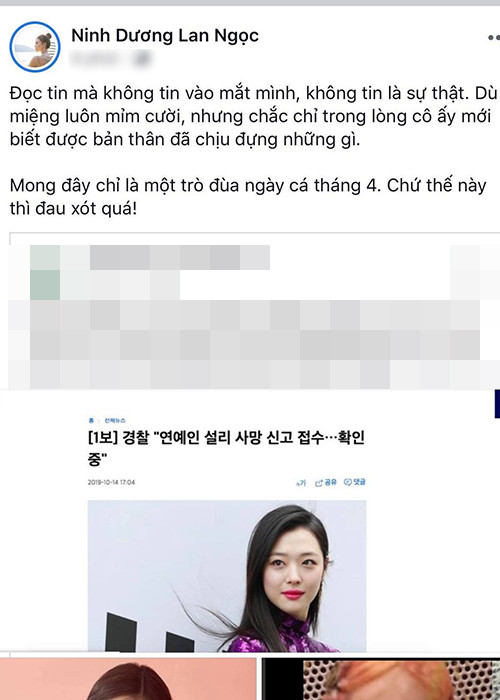Lan Ngọc đau xót viết: "Đọc tin mà không tin vào mắt mình, không tin là sự thật. Dù miệng luôn mỉm cười, nhưng chắc chỉ trong lòng cô ấy mới biết được bản thân đã chịu đựng những gì".