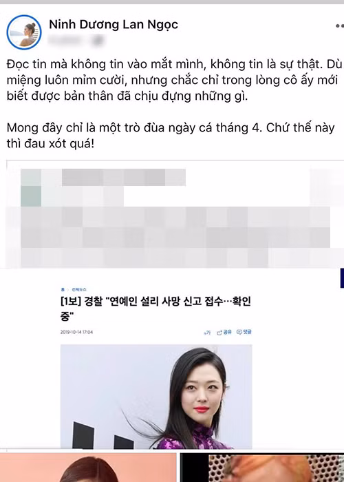 Lan Ngọc đau xót viết: "Đọc tin mà không tin vào mắt mình, không tin là sự thật. Dù miệng luôn mỉm cười, nhưng chắc chỉ trong lòng cô ấy mới biết được bản thân đã chịu đựng những gì".