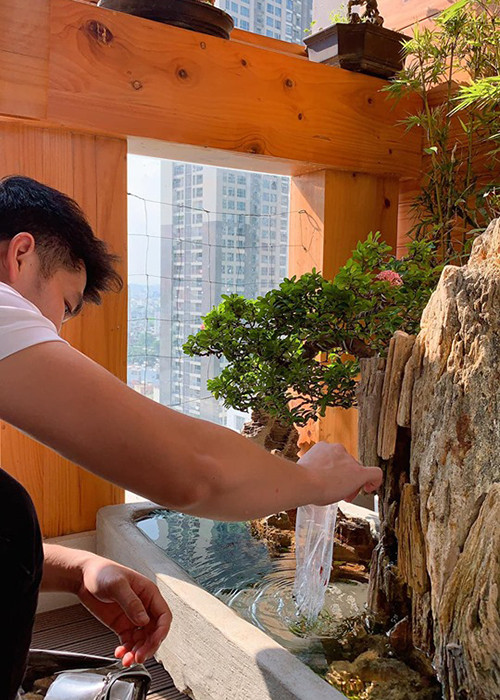 Ông xã của Lê Phương còn làm hồ cá để vợ con ngắm.