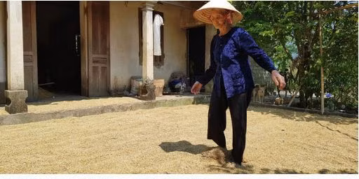 Cu ba 83 tuoi o Thanh Hoa xin ra khoi ho ngheo va cai ket-Hinh-3