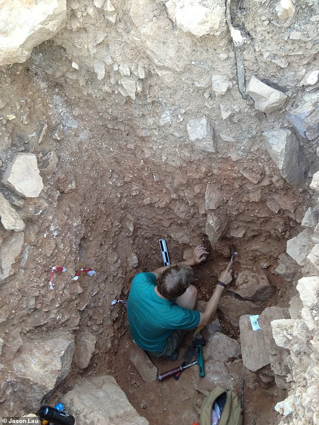 Soc voi bang chung ve mot loai nguoi khac di khai pha hoang dao-Hinh-2