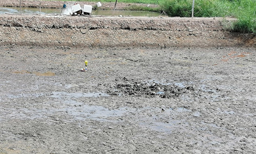 Phat hien bo xuong nguoi bi an duoi ao nuoi tom o Tien Giang