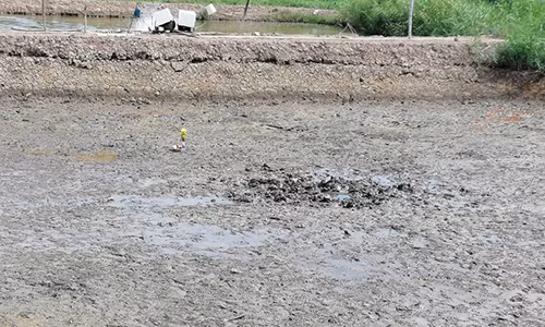 Phat hien bo xuong nguoi bi an duoi ao nuoi tom o Tien Giang