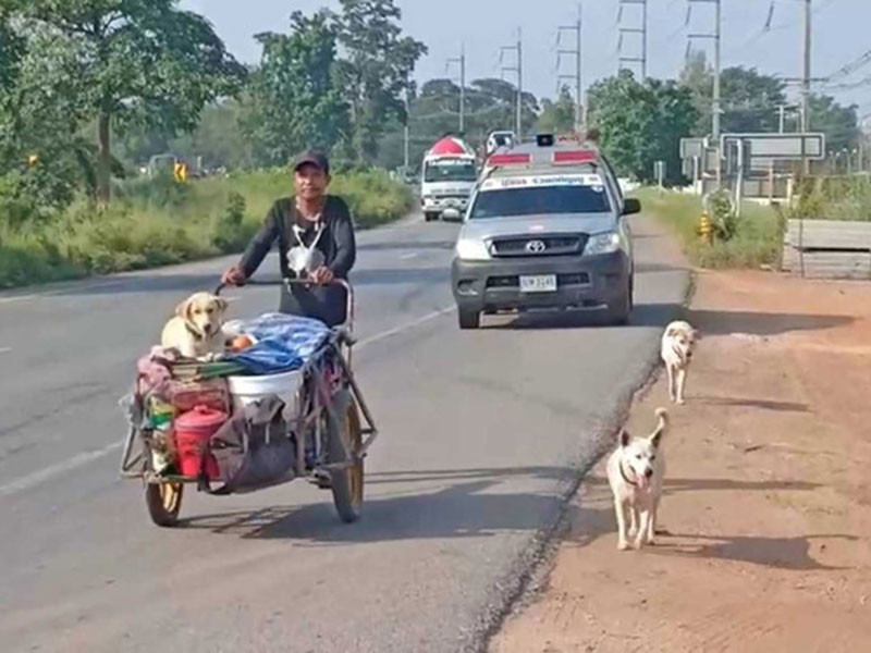 Nguoi chong di bo xuyen dat nuoc cung tro cot cua vo