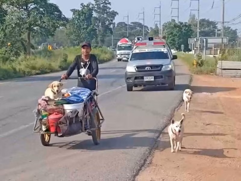 Nguoi chong di bo xuyen dat nuoc cung tro cot cua vo