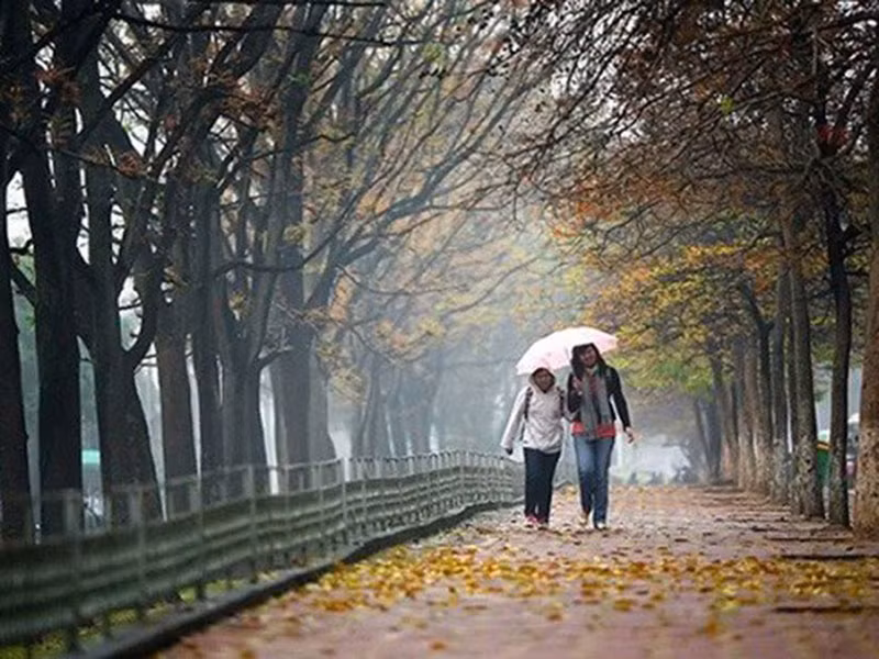 Thoi tiet ngay 23/10: Don gio mua, Bac Bo tro mua dong gio lanh