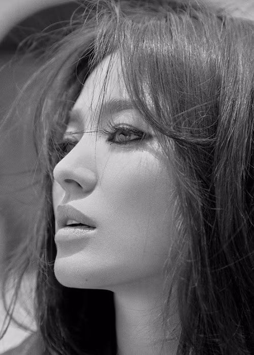 Giáo sư Seo Kyung Duk cho biết, Song Hye Kyo và ông đã 17 lần tặng sách hướng dẫn tiếng Hàn cho các di tích lịch sử Hàn Quốc trên khắp thế giới.