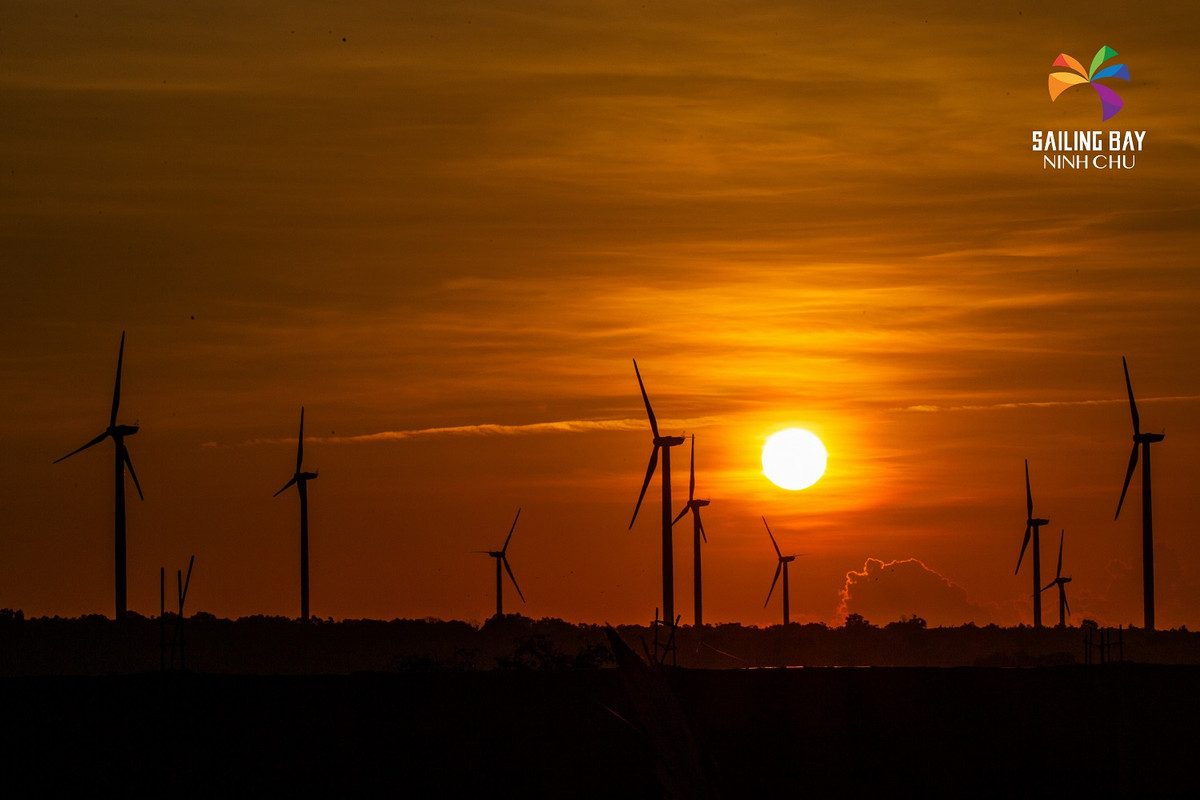 Ninh Chu: Muon o day thoi, chang muon ve