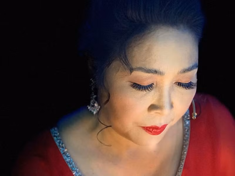 Hồng Vân là "bà bầu" của sân khấu kịch Phú Nhuận và Superbowl. Với Superbowl, đây là nơi đào tạo nên diễn viên trẻ tài năng như Xuân Nghị, Lê Lộc, Tiến Dũng. Ảnh: Zing