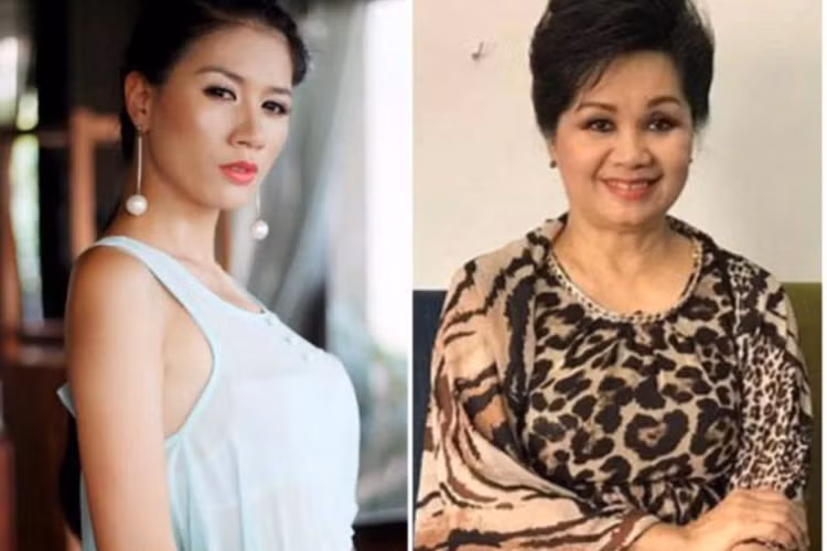 Khi ồn ào giữa nghệ sĩ Xuân Hương và Pha Lê chưa lắng xuống thì nghệ sĩ Xuân Hương bị Trang Trần livestream mắng chửi. Ảnh: PLO