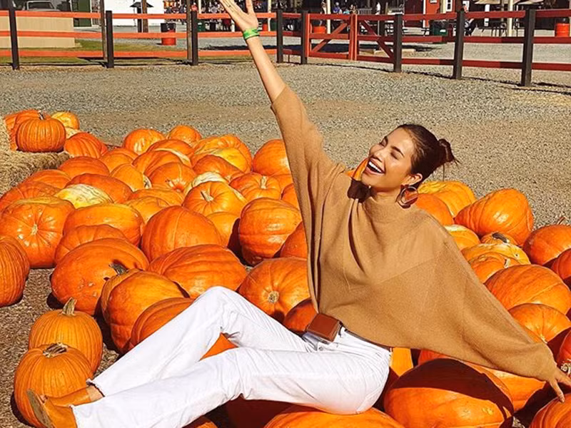 Ngan ngam doi tu thi phi cua 