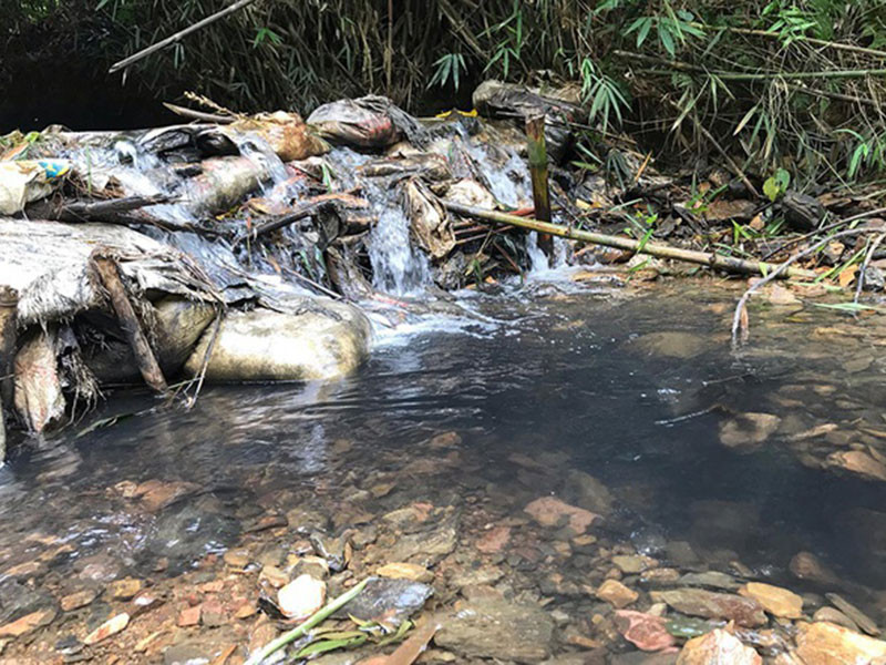 Nuoc sach song Da nhiem dau: Manh moi giup cong an lan ra 3 nghi pham