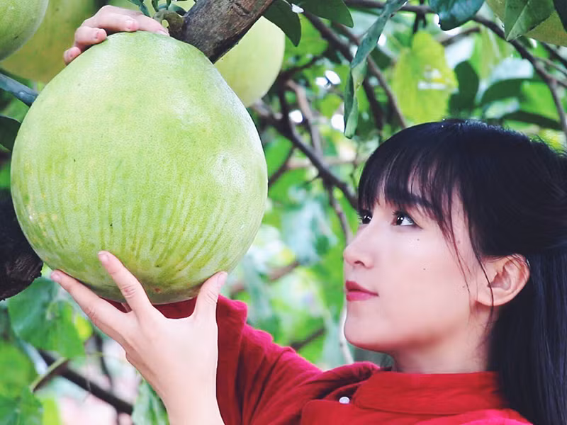 Nữ blogger trở thành một hiện tượng khi các video của cô hút lượng lớn người xem trong nước lẫn quốc tế.