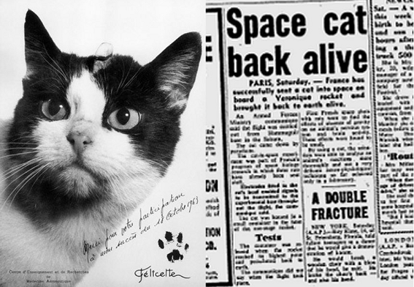 Con mèo có tên Felicette đã vượt qua hành trình 15 phút bay lên độ cao 200 km phía trên Trái Đất và quay trở lại Trái đất an toàn bằng tên lửa nhiên liệu lỏng Véronique AG1.