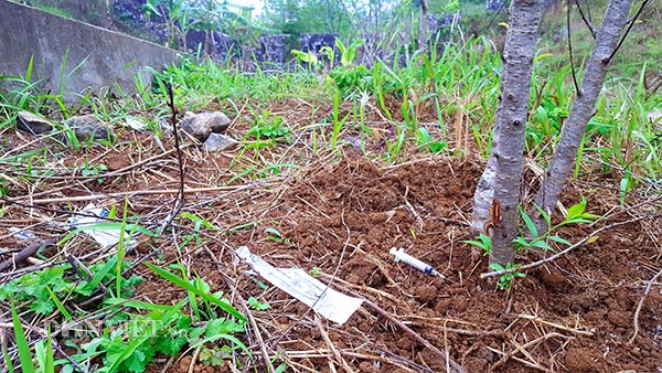 Dọc theo các bậc tam cấp dẫn lên cổng thành chỗ nào cũng gặp các loại rác do du khách để lại, lâu ngày không được dọn dẹp; thậm chí nhiều chỗ còn vương vãi bơm, kim tiêm…