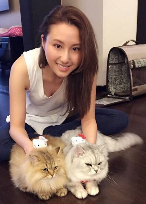 Florinda Ho rất yêu động vật, đặc biệt là mèo.