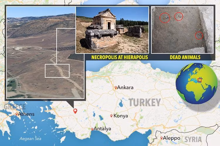 Để giải mã hiện tượng kỳ bí trên, các chuyên gia, nhà khoa học đã thực hiện một số nghiên cứu những ngôi đền cổ xưa ở gần Pamukkale và đạt được kết quả khả quan.