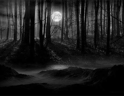 Người chó được báo cáo là tấn công những con chó khác của người dân.