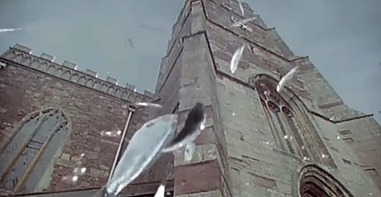 Khi chứng kiến cảnh tượng đó, nhiều người dân bắt những con cá lớn và mang về sử dụng.