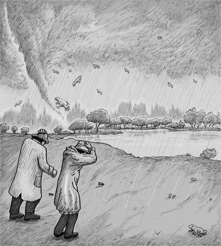 Đây là cơn mưa cá thứ ba trong vòng chưa tới 30 năm xảy ra ở thị trấn Lajamanu. Hai trận mưa cá trước xảy ra vào các năm: 1974 và 2004.