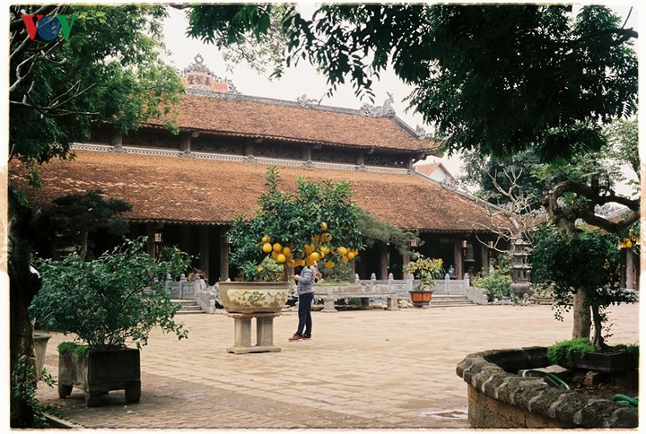 Đặc biệt, chùa Nôm còn lưu giữ được một tòa tượng cổ bằng đồng cực kỳ quý hiếm có tên gọi “Cửu Long Phật đản”. Tòa tượng này miêu tả cuộc đời của đức Phật tổ Như Lai. Ngoài ra, tại đây còn có nhiều hiện vật quý khác như tháp đồng, chuông đồng, đỉnh đồng…