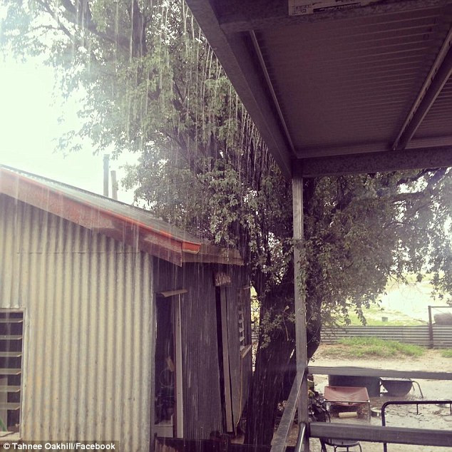 Tháng 3/2016, một cơn mưa mang theo những con cá đã xảy ra ở vùng Winton thuộc Queenland, Australia.