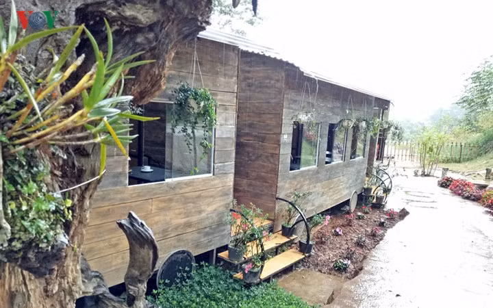 Đây là nơi chụp ảnh lý tưởng của những ai mê nhiếp ảnh khi đến tham quan Đà Lạt.