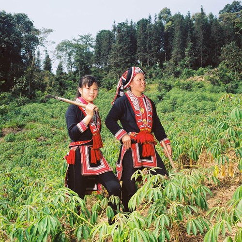 Mẹ và con gái người Dao Đỏ cùng lên rẫy trong một ngày trời đầy nắng. Bức ảnh được chụp tại xã Nậm Khòa - Huyện Hoàng Su Phì.