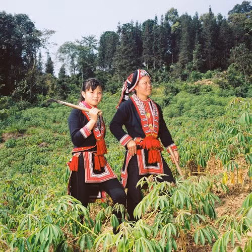 Mẹ và con gái người Dao Đỏ cùng lên rẫy trong một ngày trời đầy nắng. Bức ảnh được chụp tại xã Nậm Khòa - Huyện Hoàng Su Phì.