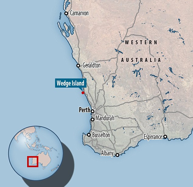 Việc ném hàng nghìn chai xuống biển để theo dõi các dòng hải lưu là một trong những hoạt động của tàu thuyền Đức thời gian đó.