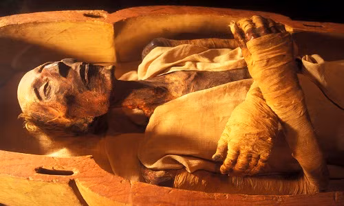 Các pharaoh Ai Cập được ướp xác sau khi qua đời để họ tiếp tục cuộc sống ở thế giới bên kia. Trong số này, pharaoh Ramses II là xác ướp đầu tiên trong lịch sử có hộ chiếu. Nghề nghiệp của ông được ghi trong hộ chiếu là Vua.