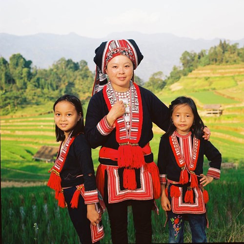 Người phụ nữ trẻ tuổi và 2 bé gái người Dao Đỏ trước ruộng bậc thang. Một nét văn hóa đặc trưng của đồng bào dân tộc miền núi phía Bắc. Bức ảnh được chụp tại một bản người Dao Đỏ tại xã Nam Hồng - Huyện Hoàng Su Phì (Hà Giang).