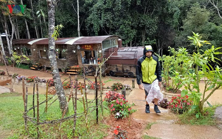 Du khách đặt chân tới Đà Lạt không nên bỏ qua cơ hội được một lần tới quán cà phê độc đáo này để thưởng thức hương vị cà phê đậm đà chất cao nguyên.