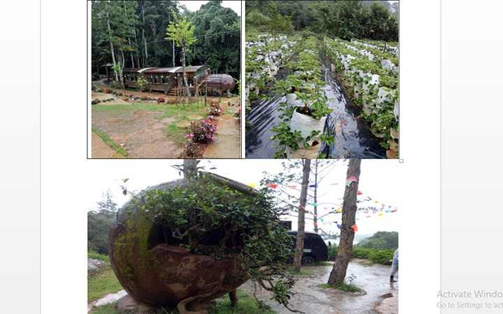 Đúng như "lời đồn", đây là quán cafe có thể phóng tầm mắt ra một không gian bát ngát, với vườn dâu tây xanh mát, khung cảnh thiên nhiên thơ mộng của Đà Lạt.