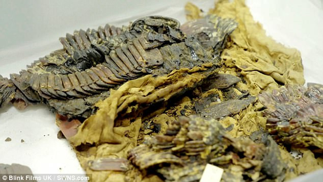 Chiếc áo giáp này được cho là bằng chứng cho thấy pharaoh Tutankhamun có thể từng là một nhà lãnh đạo mạnh mẽ, từng tham gia chiến đấu trong các cuộc chiến, chứ không phải là một nhà lãnh đạo ốm yếu như nhiều công bố trước đây.