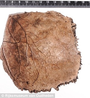 Doggerland - nơi phát hiện mảnh xương sọ trên - từng là vùng đất cao hơn 80m so với mực nước biển.