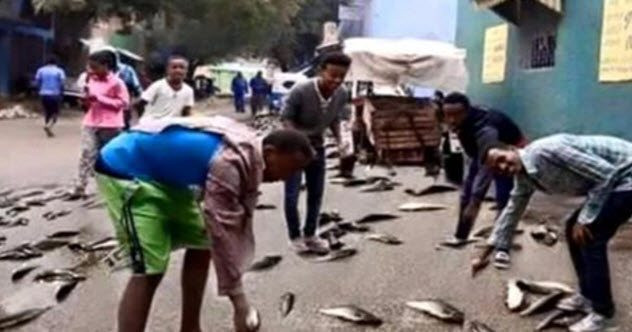 Vào tháng 2/2016, người dân ở Dire Dawa, Ethiopia vô cùng ngạc nhiên khi nhìn thấy những con cá lớn rơi từ trên trời xuống trong cơn mưa ngắn.
