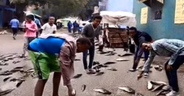 Vào tháng 2/2016, người dân ở Dire Dawa, Ethiopia vô cùng ngạc nhiên khi nhìn thấy những con cá lớn rơi từ trên trời xuống trong cơn mưa ngắn.