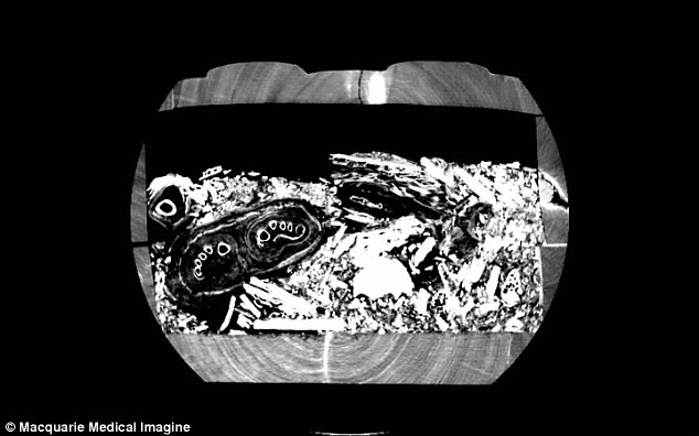 Căn cứ vào dòng chữ tượng hình in trên quan tài cho thấy nó có niên đại khoảng năm 600 trước Công nguyên.