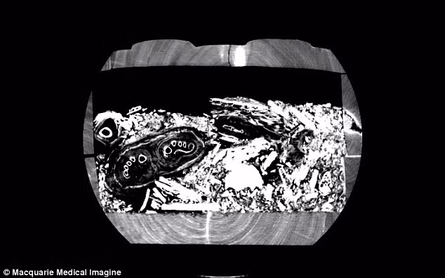 Căn cứ vào dòng chữ tượng hình in trên quan tài cho thấy nó có niên đại khoảng năm 600 trước Công nguyên.