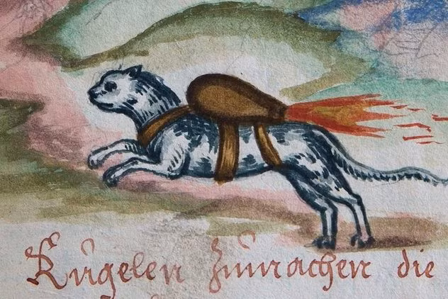 Vào thế kỷ 16 - 17, Franz Helm đã miêu tả chiến thuật quân sự kỳ lạ là dùng mèo làm “lính phóng hỏa”.