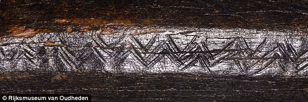 Bên cạnh mảnh xương sọ trên, các chuyên gia còn tìm thấy xương bò rừng bison có niên đại khoảng 13.500 tuổi.