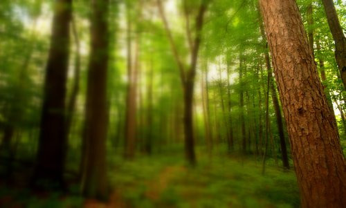 Theo đó, 600 người dân ở Hoer Verde mất tích bí ẩn, không để lại dấu vết nào chỉ sau một đêm. Toàn bộ tài sản, quần áo và thức ăn của họ vẫn còn nguyên.