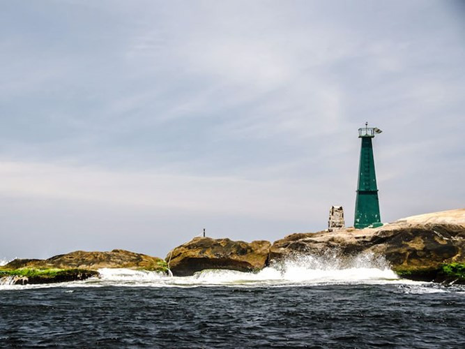 Đảo Rắn, Brazil: Với tên gọi khác là Ilha de Queimada Grande, hòn đảo nằm ở phía Nam Đại Tây Dương, cách bờ biển bang Sao Paulo, Brazil khoảng 35 km. Nơi đây có hơn 400.000 rắn cực độc trú ngụ. Vì lý do an toàn, chính phủ nước này không cho phép du khách vào tham quan địa điểm này. Nếu muốn đến thăm đảo, bắt buộc phải có bác sỹ chuyên nghiên cứu về rắn đi cùng.