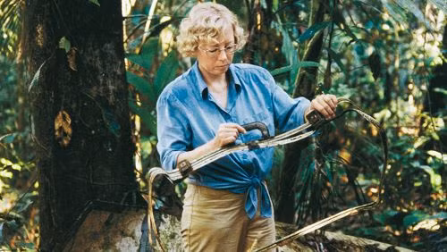 Phải đến ngày thứ 10, một nhóm công nhân khai thác gỗ phát hiện ra Koepcke mình đầy vết thương nên nhanh chóng đưa cô tới bệnh viện điều trị.