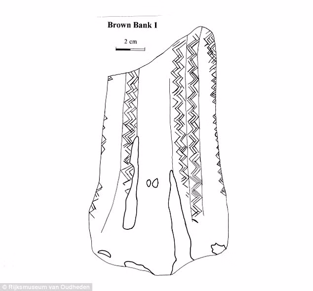 Khi thời tiết ấm lên, các loài như ma mút lông cừu bị tuyệt chủng. Do vậy, các động vật như nai, bò rừng bison... chuyển từ khu vực đồng bằng đến sống trong các khu rừng cùng với thợ săn.